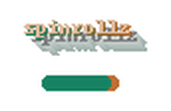 spinrollz logo